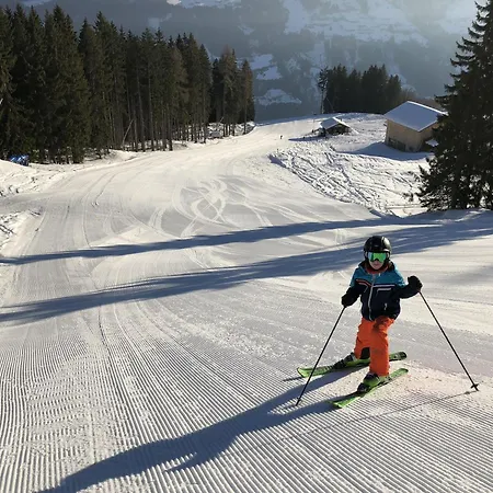 Apartment Landhaus Rieder Im Zillertal - Apart Arena Blick Aschau Im Zillertal