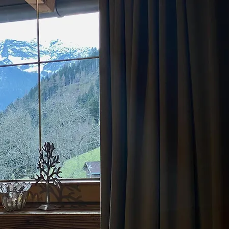 Apartment Landhaus Rieder Im Zillertal - Apart Arena Blick *