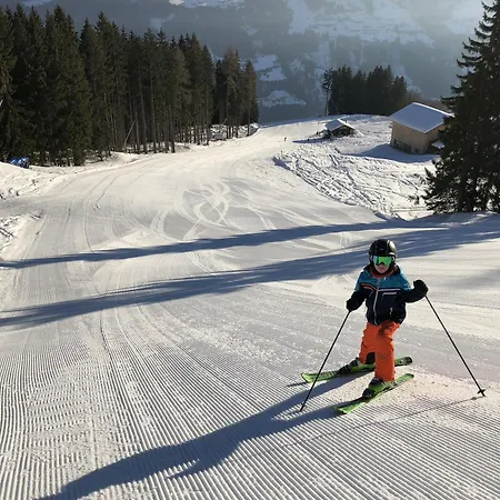 Lejlighed Rieder Im Zillertal Aschau Im Zillertal